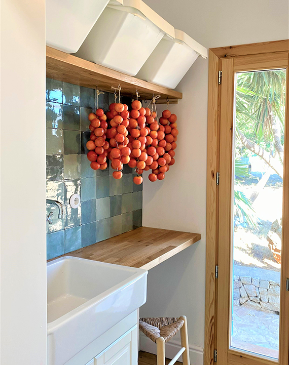 Proyecto Son Ametler tomates